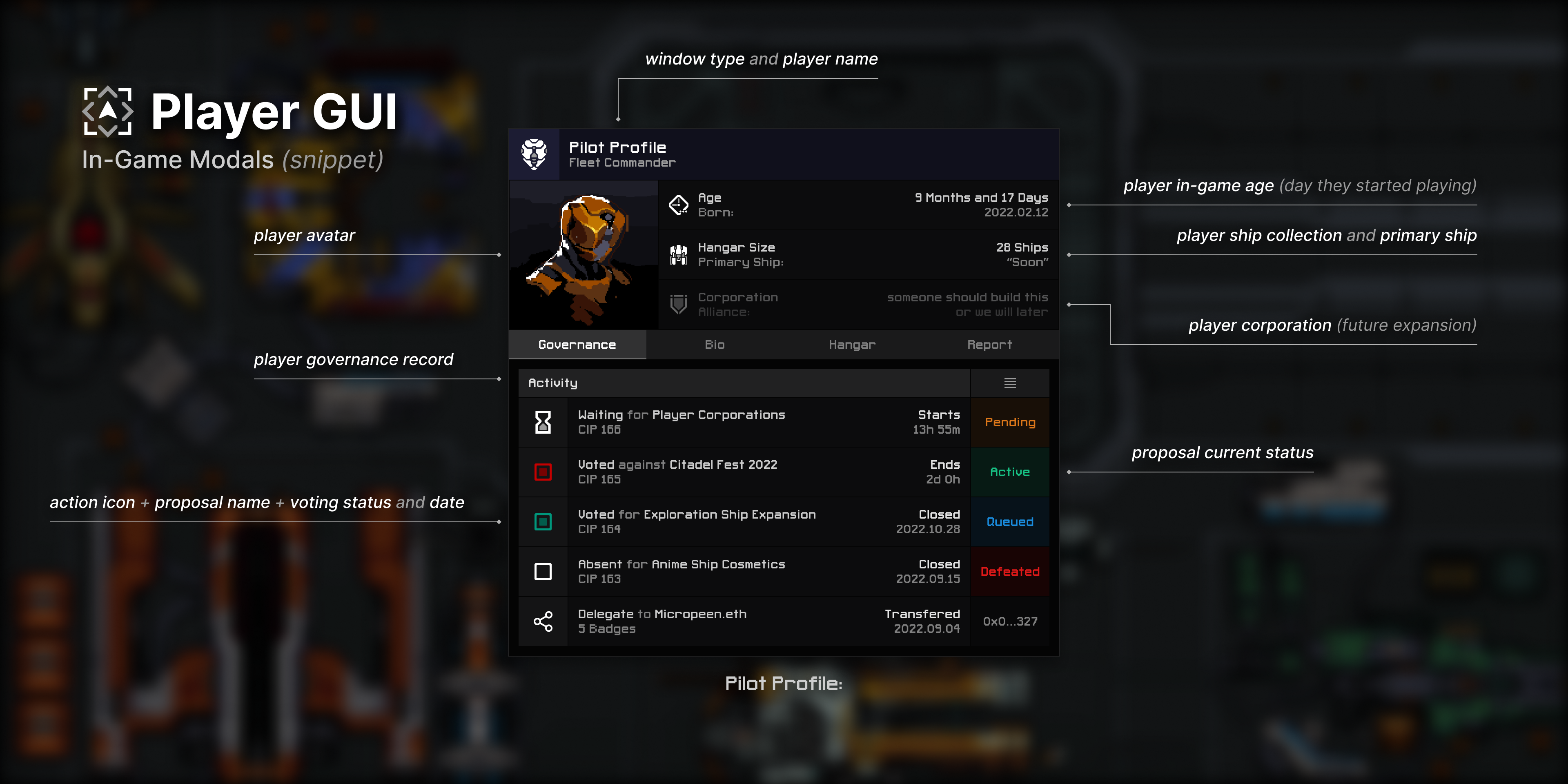 Pilot profile window