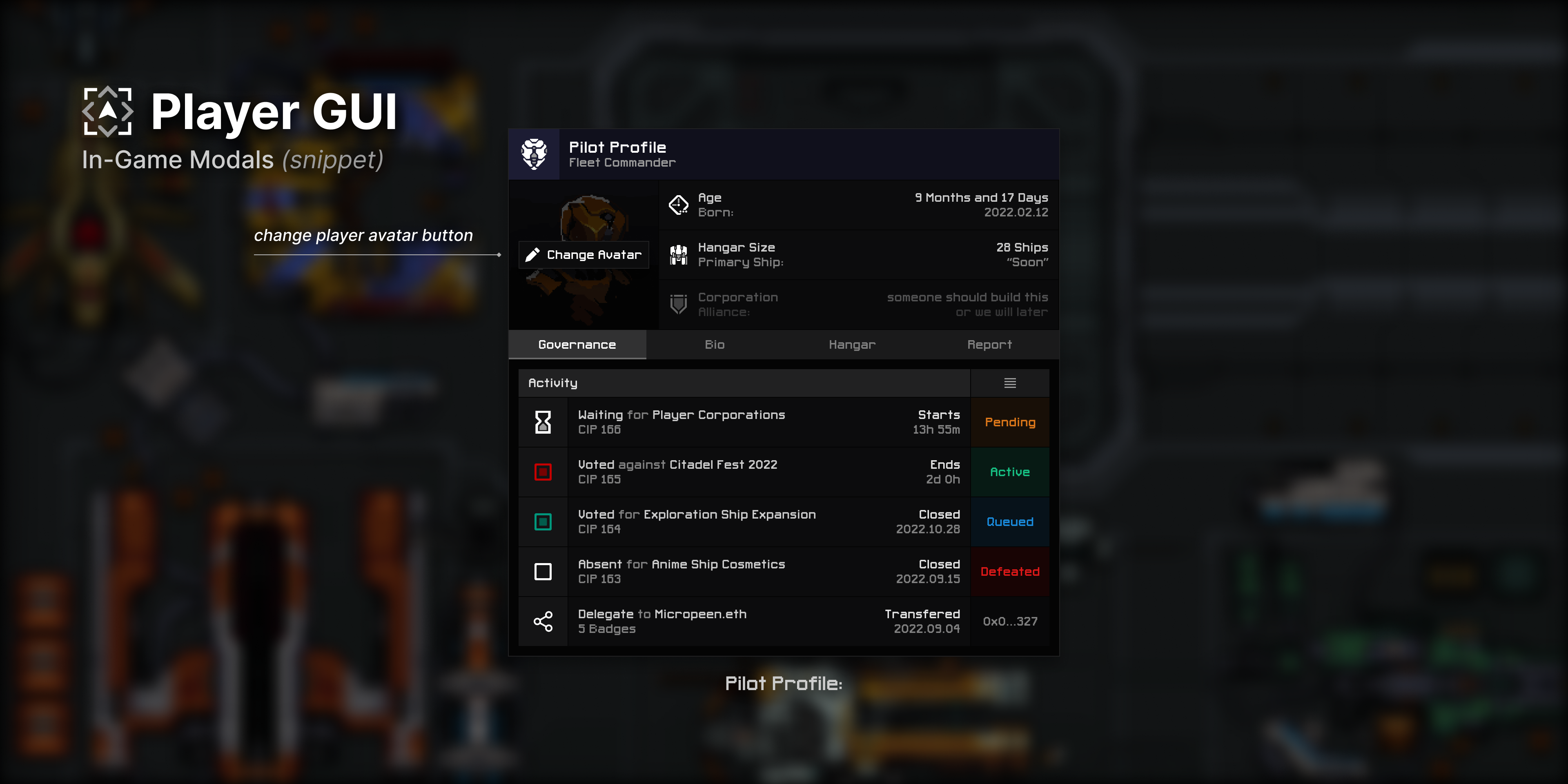 Pilot profile window - change avatar