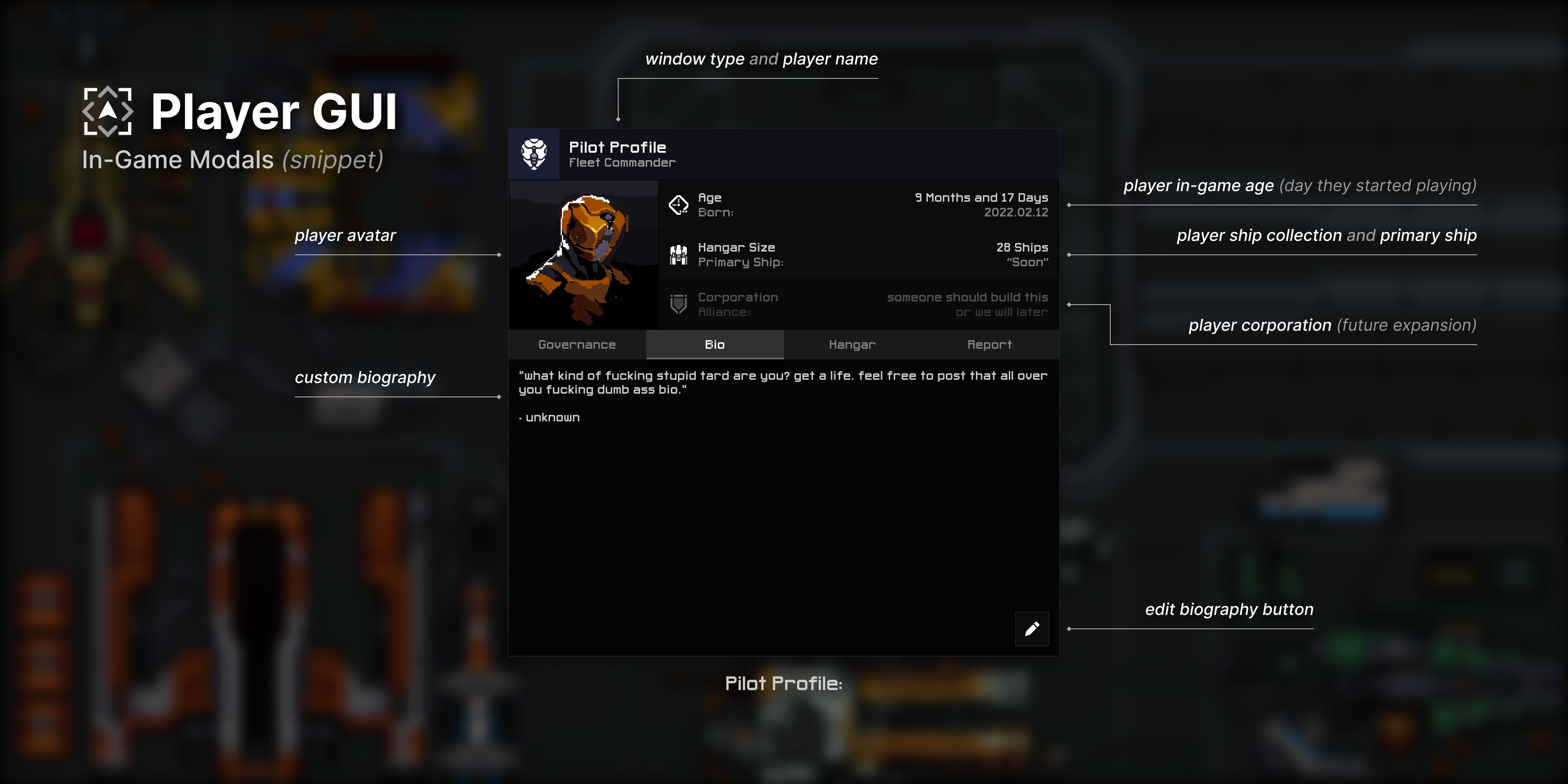 Pilot profile window - biography window
