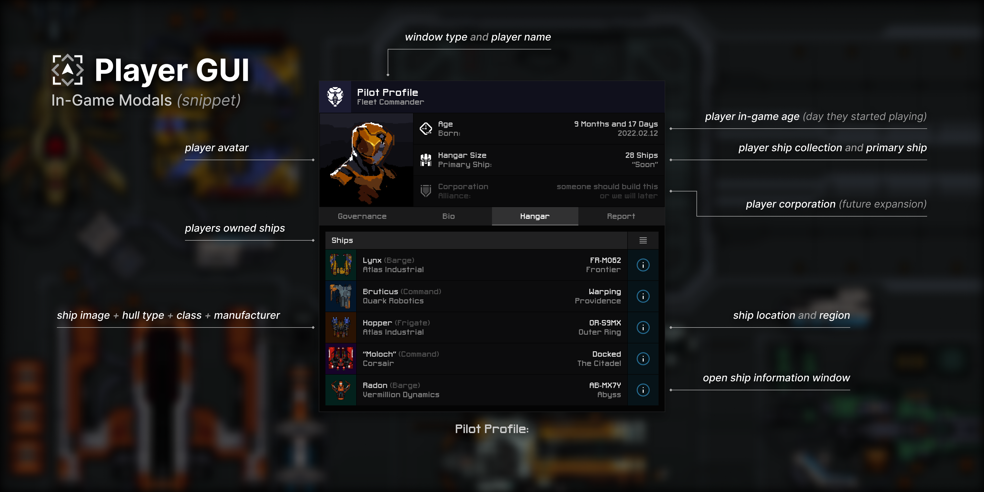 Pilot profile window - ship inventory
