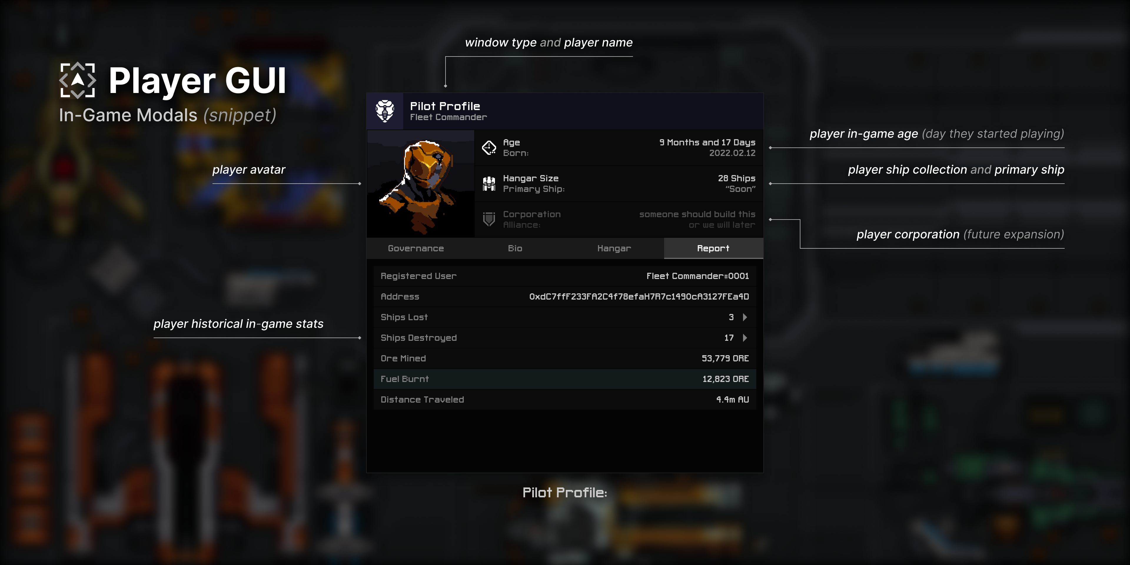 Pilot profile window - pilot data